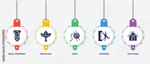 infographic element template with pet grooming filled icons such as facial treatment, maple leaf, wool, groomer, dog house vector.