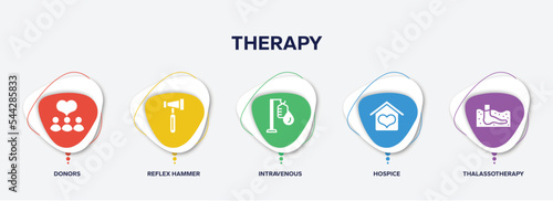 infographic element template with therapy filled icons such as donors, reflex hammer, intravenous, hospice, thalassotherapy vector.