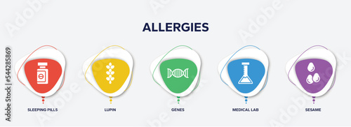 infographic element template with allergies filled icons such as sleeping pills, lupin, genes, medical lab, sesame vector.