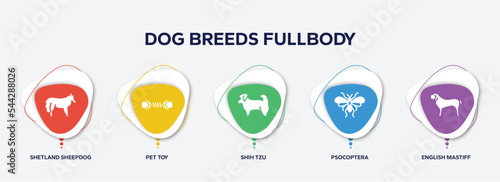 infographic element template with dog breeds fullbody filled icons such as shetland sheepdog, pet toy, shih tzu, psocoptera, english mastiff vector.