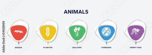 infographic element template with animals filled icons such as badger, plankton, balloons, forbidden, hermit crab vector.