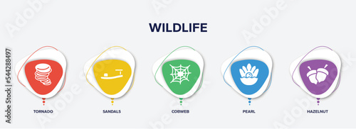 Obraz na plátně infographic element template with wildlife filled icons such as tornado, sandals, cobweb, pearl, hazelnut vector
