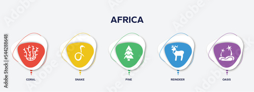 infographic element template with africa filled icons such as coral, snake, pine, reindeer, oasis vector.