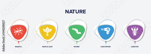 infographic element template with nature filled icons such as mantis, maple leaf, worm, hair dryer, lobster vector.