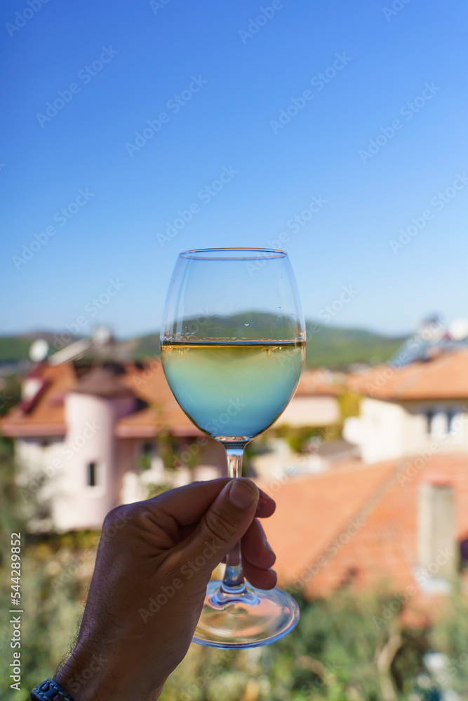 Wine drink in a glass in hand. White fresh wine in a transparent glass against the backdrop of the nature of the village in the summer on a sunny day. Drink, good mood, alcohol concept. Wine drink in a glass in hand. White fresh wine in a transparent glass against the backdrop of the nature of the village in the summer on a sunny day. Drink, good mood, alcohol concept.