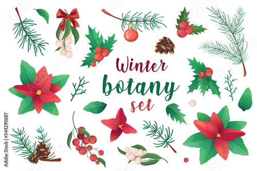 Winter botany in cartoon style set isolated elements. Vector illustration