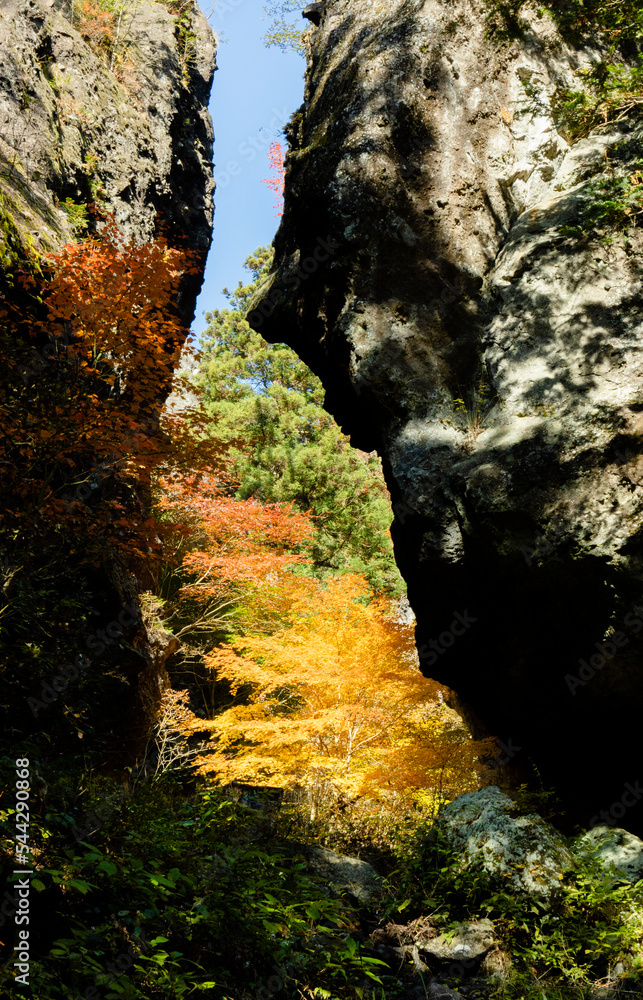 巨岩の間から覗く黄葉の木々