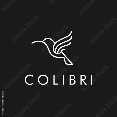 colibri bird logo. abstract hummingbird icon logo vector illustration in trendy line outline art style
