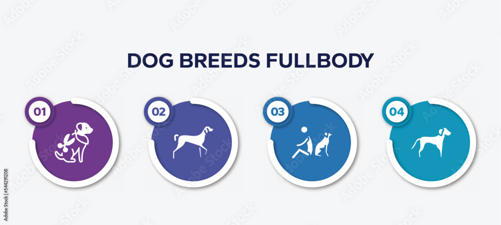 infographic element template with dog breeds fullbody filled icons such as grooming pet, kurzhaar, dog and man seating, springer spaniel vector. infographic element template with dog breeds fullbody filled icons such as grooming pet, kurzhaar, dog and man seating, springer spaniel vector.