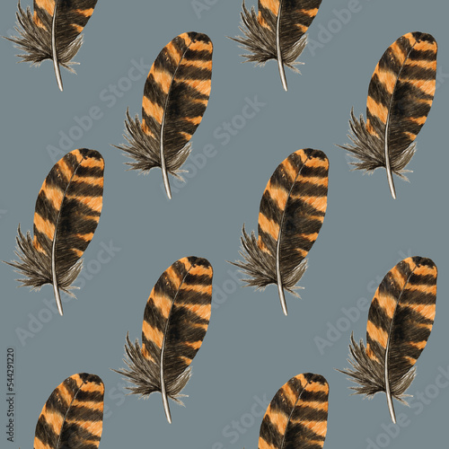 Obraz na plátně Feather seamless pattern on grey background