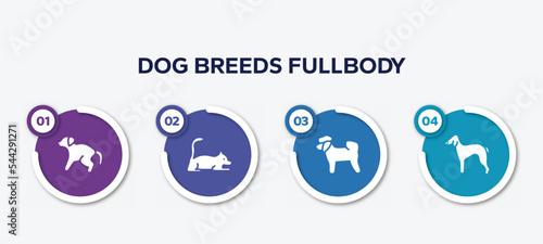 infographic element template with dog breeds fullbody filled icons such as scold the dog, laying cat, bichon, bedlington terrier vector.