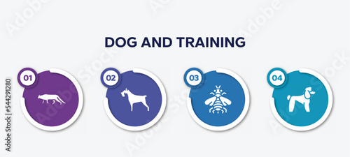 infographic element template with dog and training filled icons such as snowshoe cat, miniature schnauzer, bumblebee, poodle vector.