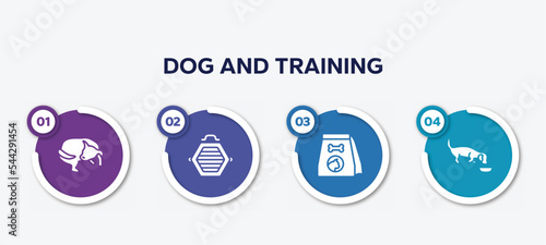 infographic element template with dog and training filled icons such as dog chasing tail, cat box, cat food, dog eating vector.