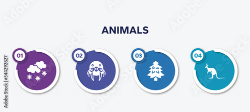 infographic element template with animals filled icons such as snowy, walrus, pine tree, kangaroo vector.