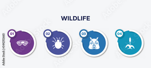 infographic element template with wildlife filled icons such as safety glasses, mite, squirrel, cattail vector.