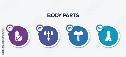 infographic element template with body parts filled icons such as capsule, excretory system, dentist tooth with metallic root, e vector.