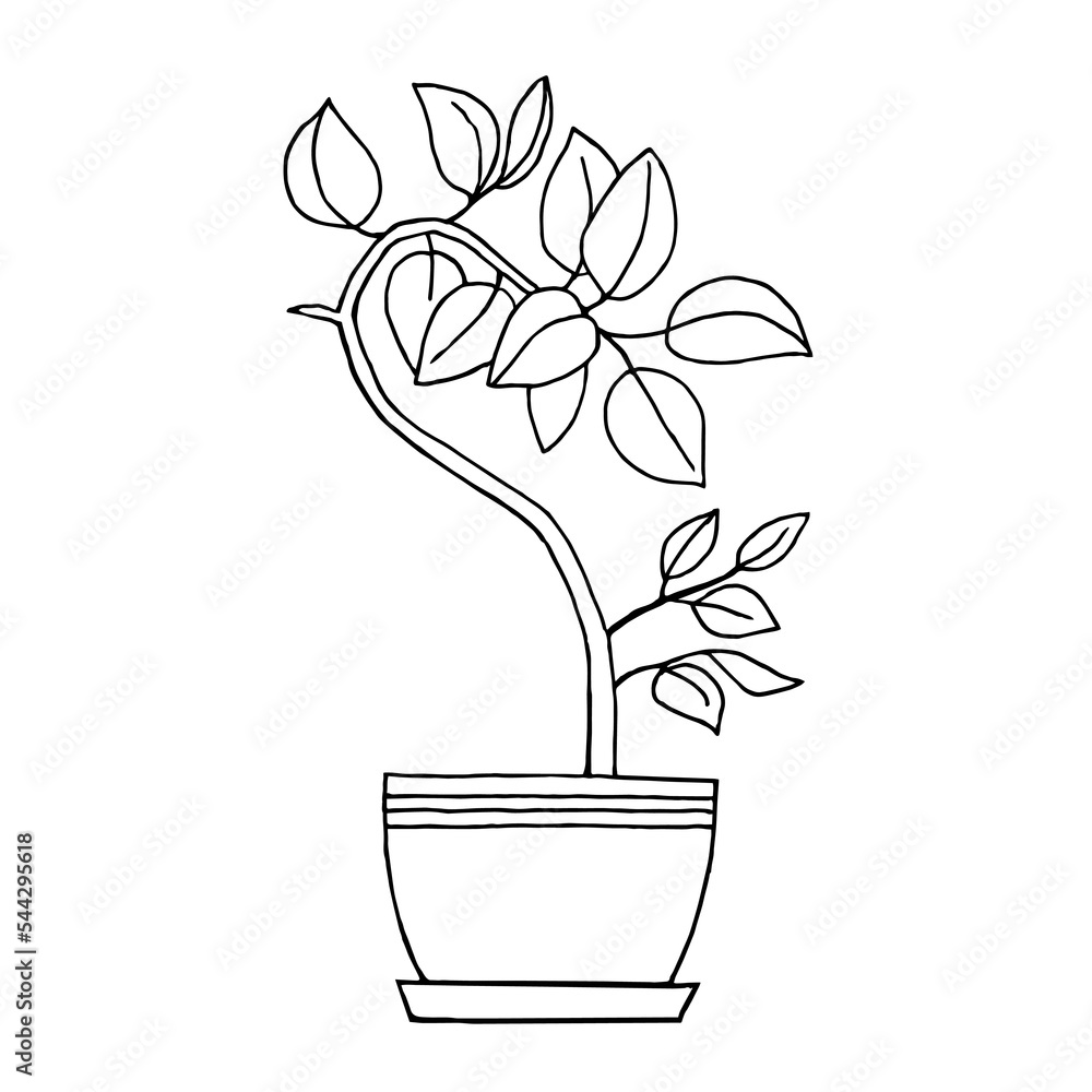 Hand drawn home plant in a pot with striped border black and white contour drawing on white background. Vector element for the design of wallpaper, fabric, cards
Hand drawn home plant in a pot with striped border black and white contour drawing on white background. Vector element for the design of wallpaper, fabric, cards