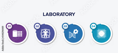 infographic element template with laboratory filled icons such as gauze, vitruvian man, biotechnology, wire gauze vector.