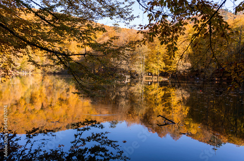 Beautiful fall scene in the forest: Autumn nature reflection on blue lake. Vivid morning in colorful park with branches of trees. sunlight and colorful leaves. Yedigoller National Park, Bolu Turkey