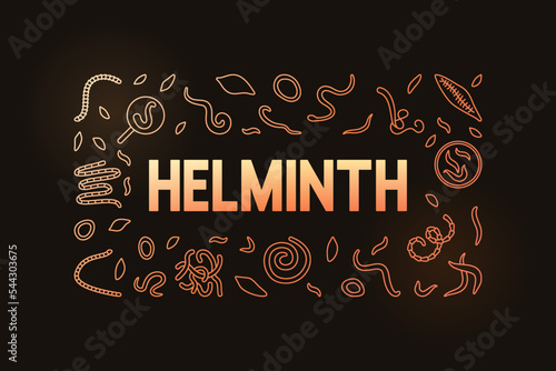 Helminth vector concept horizontal colored illustration on dark background