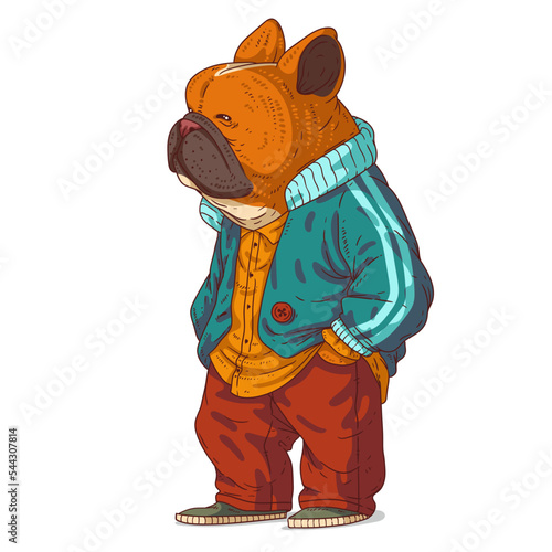 An Urban Guy, isolated vector illustration. Casually dressed dog person. A French Bulldog with a human body on white background. Drawn animal sticker art. Calm dog character watching something. © Kyyybic