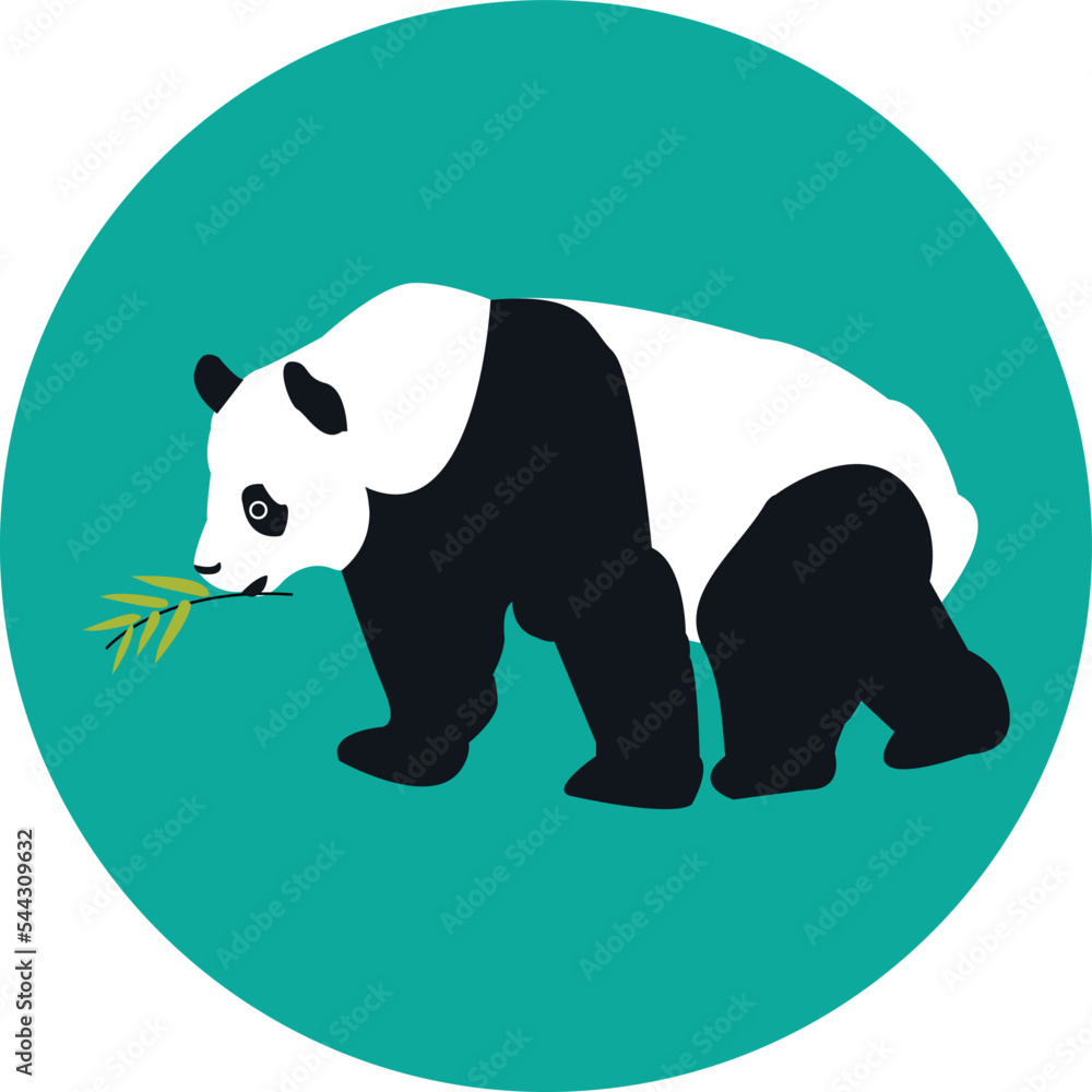 illustration Vector of panda bear illustration Vector of panda bear