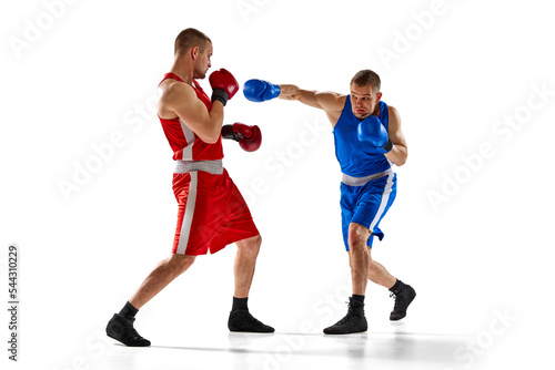 Punching. Two twins brothers, professional boxers in blue and red sportswear boxing isolated on white background. Concept of sport, competition, training, energy.