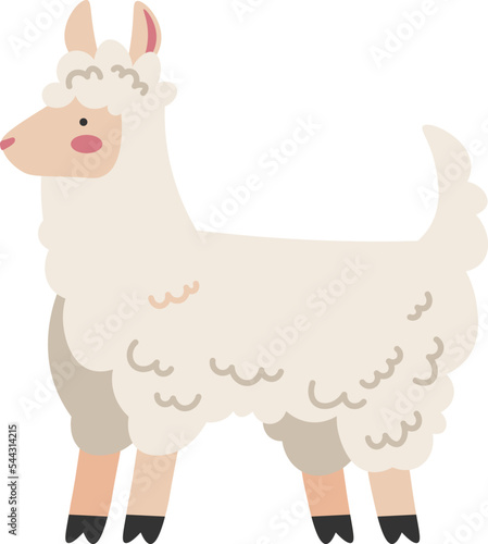 Funny Llama Alpaca icon. Vector illustration