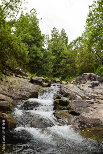 Waterfall and stream through a lush forest with tall trees in Loureza. Oia - Galicia photo