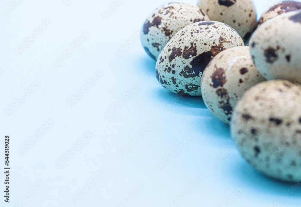 Obraz premium quail eggs on blue background