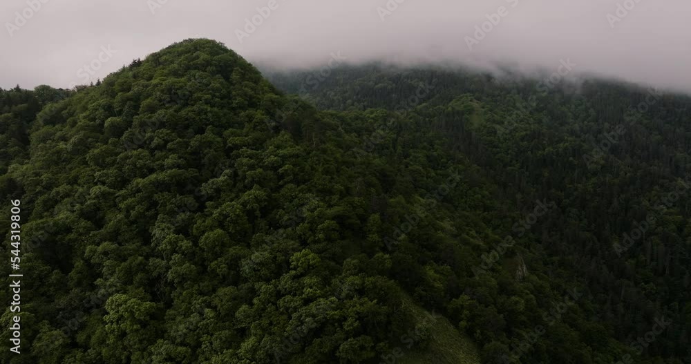 Dense Thicket Over Protected Area In The Mountains Of Borjomi Nature Reserve, Georgia. Aerial Drone Dense Thicket Over Protected Area In The Mountains Of Borjomi Nature Reserve, Georgia. Aerial Drone