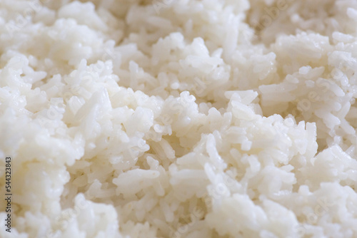 Rice Simple plain maki ingredient