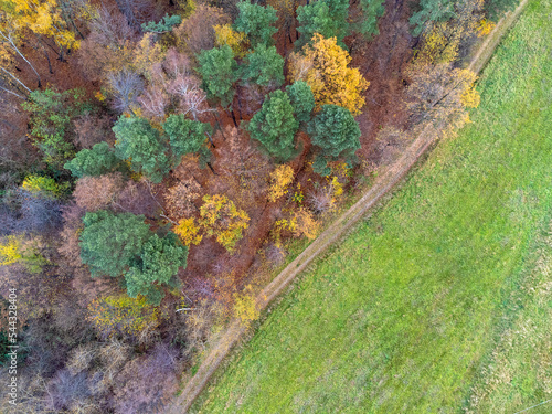 Obraz na płótnie Aerial view. Forest, trees, grass, meadow , nature, seen from above. Landscape. Photo from a drone. w salonie