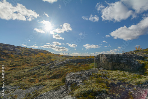 Tundra with hills and trees with yellow leaves.