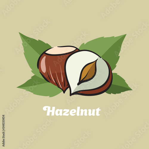 Hazelnut. Hazelnut logo. Hazelnut vector drawing.