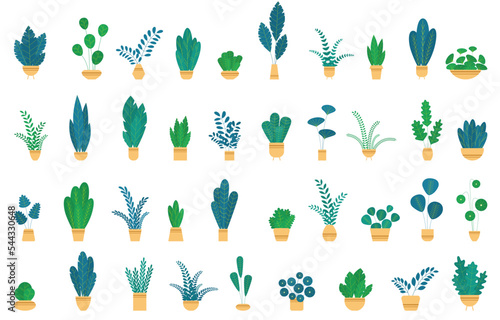 Set house plants and flowers in ceramic pots.
