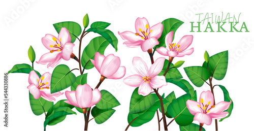 beautiful tung blossom;May snow of Taiwan;Hakka of Taiwan