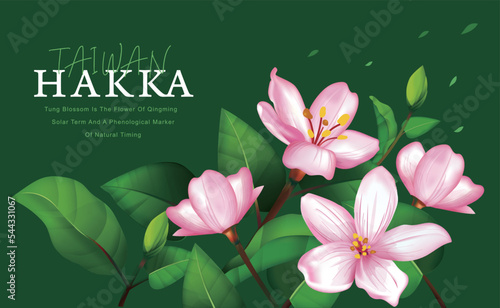 beautiful tung blossom;May snow of Taiwan;Hakka of Taiwan