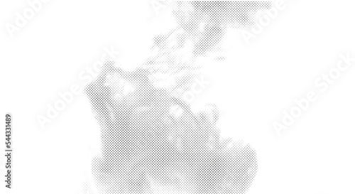 Vector Dot Texture - Pattern - Monochrome Abstrac Background