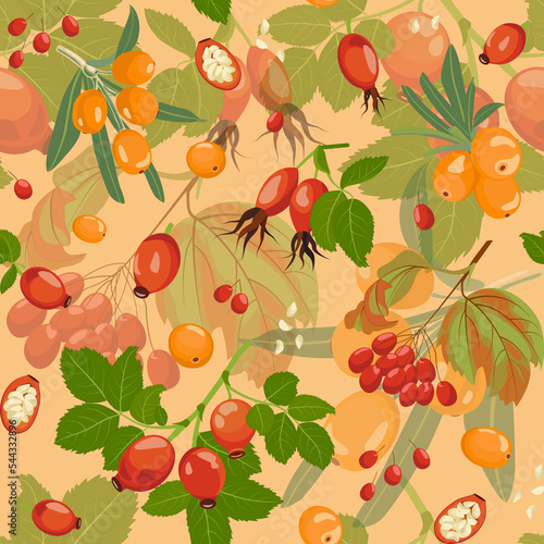 Collection of seamless patterns autumn berries