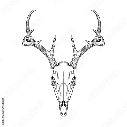 Canvastavla deer head skull