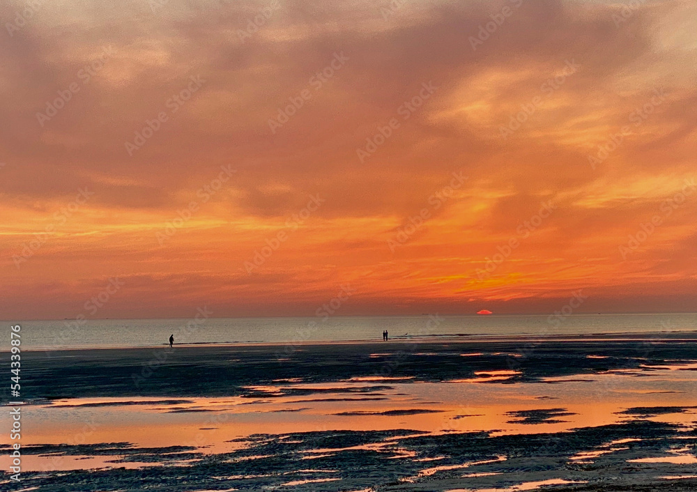 Fototapeta premium sunset over the sea