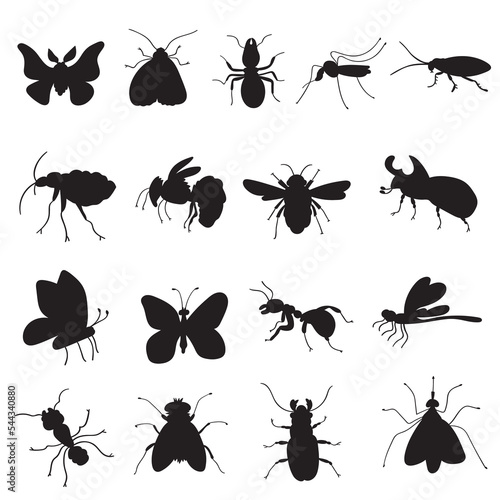 Silhouettes. Set of insects. Black color illustrations. Hand drawn graphic design.