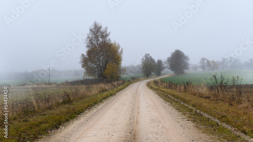Country road on a misty autumn day