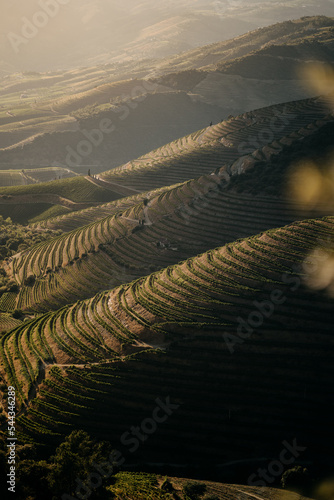 Fotografia douro valley