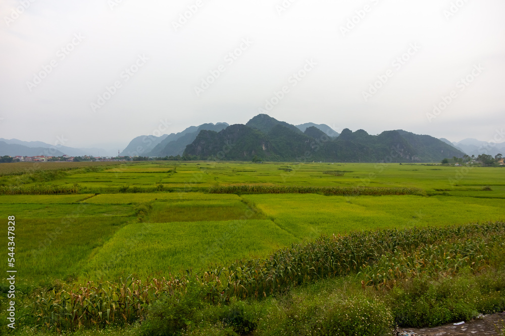 Scenic landscape of limestone karst mountains rising above a river and green fields in the village of Phong Nha.