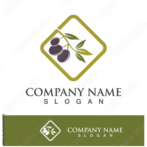 Extra virgin olive oil logo design