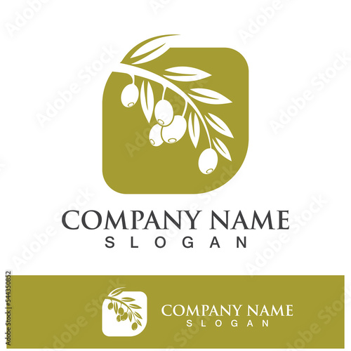 Extra virgin olive oil logo design
