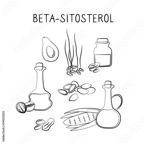 Beta-sitosterol-containing food. Groups of healthy products containing vitamins and minerals. Set of fruits, vegetables, meats, fish and dairy