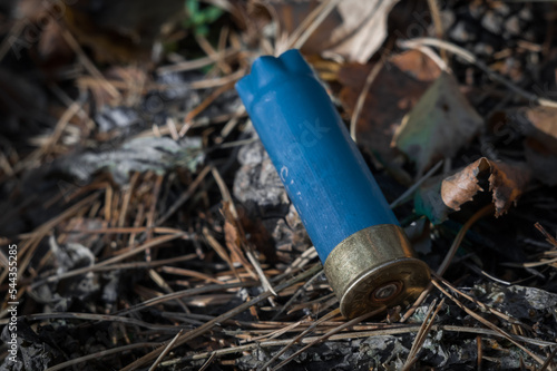 Used Hunting cartridge cases for a twelfth-gauge shotgun. Shotgun shell. Hunting blank cartridges of 12 gauge lie on dry foliage in the forest. Selective focus